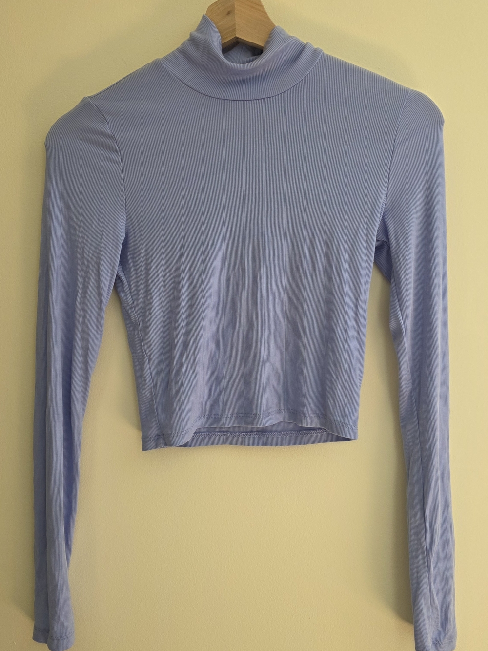 Wilfred Light Blue Mock Neck Cropped Long-Sleeve Top